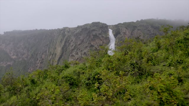 Video thumb