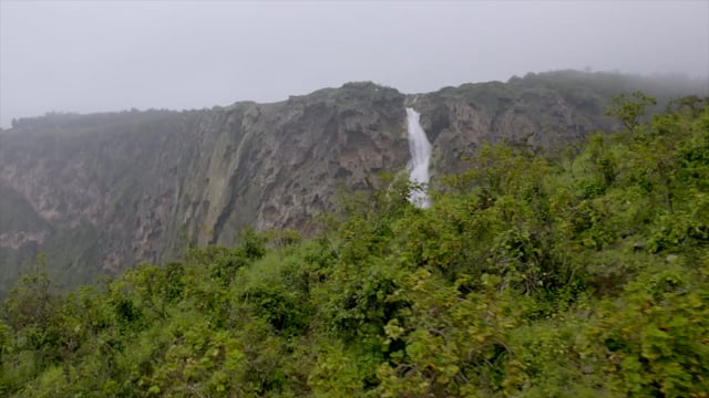 Video thumb